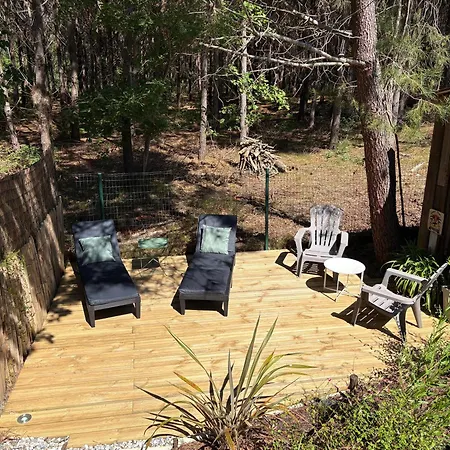 Casa vacanze 5 Personnes En Forêt Des Landes Proche De L'océan