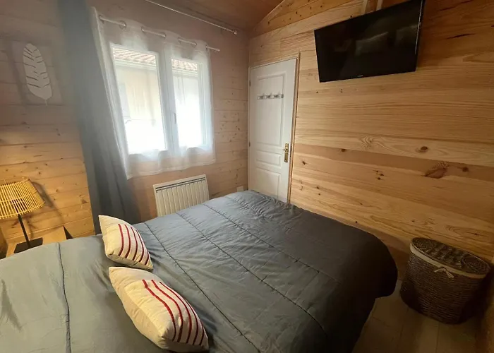 5 Personnes En Foret Des Landes Proche De L'ocean * Bias (Landes)